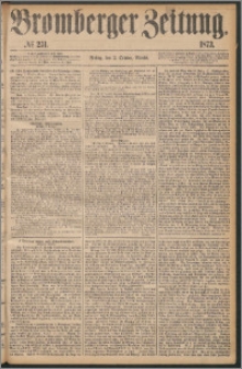 Bromberger Zeitung, 1873, nr 231