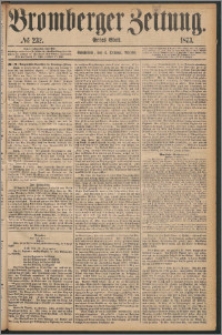 Bromberger Zeitung, 1873, nr 232