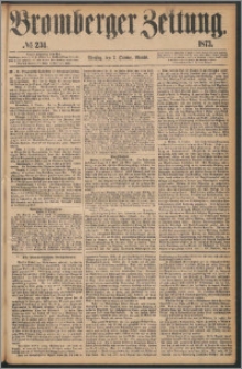 Bromberger Zeitung, 1873, nr 234