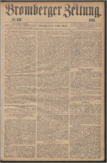 Bromberger Zeitung, 1873, nr 236