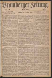 Bromberger Zeitung, 1873, nr 238