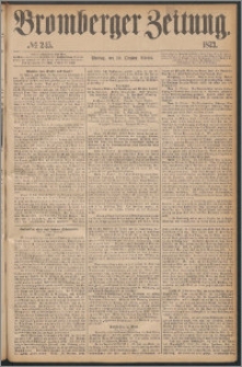 Bromberger Zeitung, 1873, nr 245