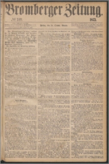 Bromberger Zeitung, 1873, nr 249