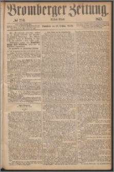 Bromberger Zeitung, 1873, nr 250