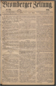 Bromberger Zeitung, 1873, nr 251