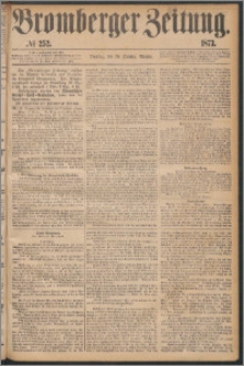 Bromberger Zeitung, 1873, nr 252
