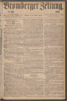 Bromberger Zeitung, 1873, nr 253