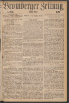 Bromberger Zeitung, 1873, nr 256