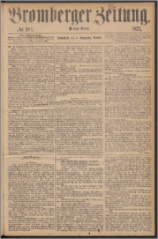 Bromberger Zeitung, 1873, nr 262