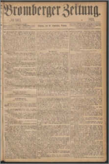 Bromberger Zeitung, 1873, nr 263