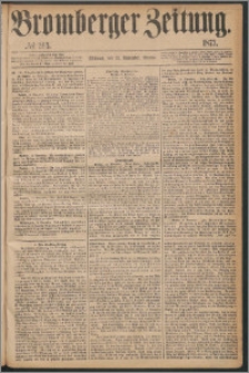 Bromberger Zeitung, 1873, nr 265