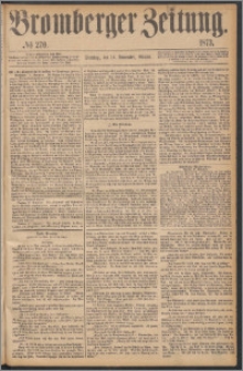 Bromberger Zeitung, 1873, nr 270