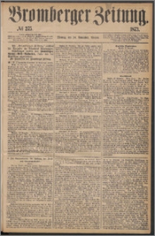 Bromberger Zeitung, 1873, nr 275