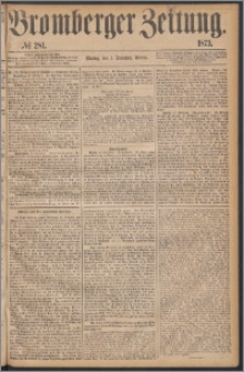 Bromberger Zeitung, 1873, nr 281
