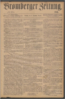 Bromberger Zeitung, 1873, nr 288