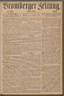 Bromberger Zeitung, 1873, nr 289