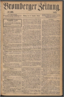 Bromberger Zeitung, 1873, nr 293
