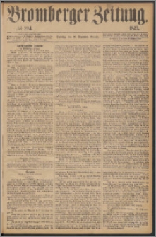 Bromberger Zeitung, 1873, nr 294