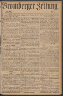 Bromberger Zeitung, 1873, nr 295