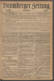 Bromberger Zeitung, 1873, nr 298