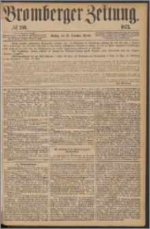 Bromberger Zeitung, 1873, nr 299
