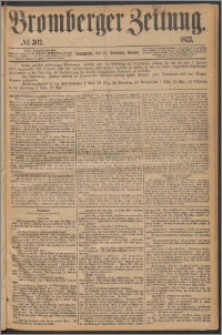 Bromberger Zeitung, 1873, nr 302