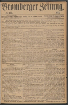 Bromberger Zeitung, 1873, nr 303