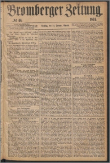 Bromberger Zeitung, 1874, nr 46