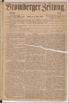 Bromberger Zeitung, 1874, nr 75