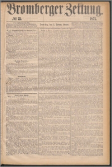 Bromberger Zeitung, 1875, nr 35