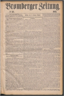 Bromberger Zeitung, 1875, nr 36