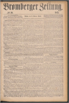 Bromberger Zeitung, 1875, nr 38