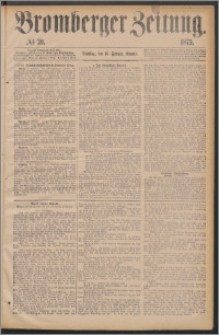 Bromberger Zeitung, 1875, nr 39