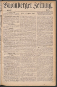 Bromberger Zeitung, 1875, nr 42
