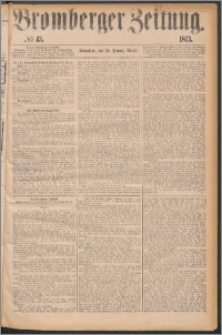 Bromberger Zeitung, 1875, nr 43