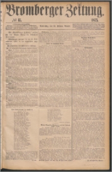 Bromberger Zeitung, 1875, nr 47