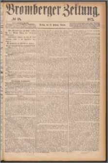 Bromberger Zeitung, 1875, nr 48