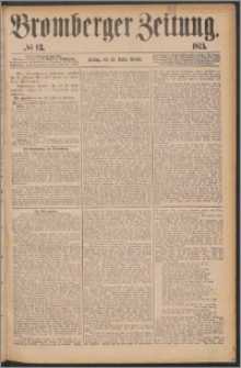 Bromberger Zeitung, 1875, nr 93