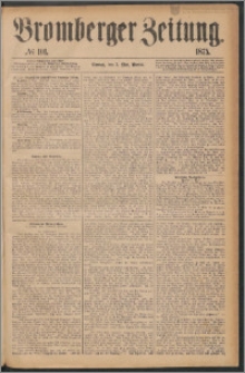 Bromberger Zeitung, 1875, nr 101