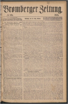 Bromberger Zeitung, 1875, nr 119
