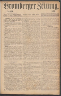 Bromberger Zeitung, 1875, nr 236