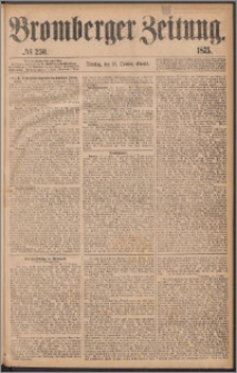 Bromberger Zeitung, 1875, nr 250