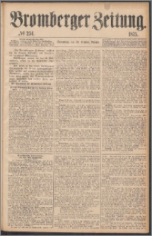Bromberger Zeitung, 1875, nr 254