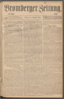 Bromberger Zeitung, 1875, nr 256