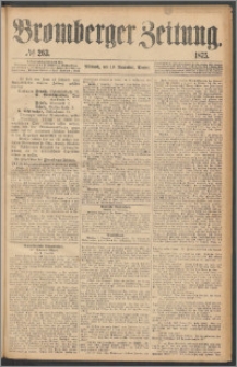 Bromberger Zeitung, 1875, nr 263