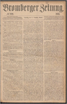 Bromberger Zeitung, 1875, nr 292