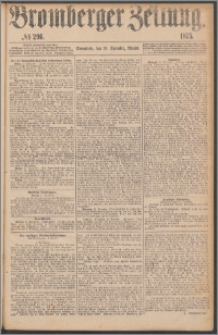 Bromberger Zeitung, 1875, nr 296