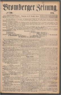 Bromberger Zeitung, 1875, nr 300