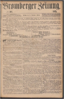 Bromberger Zeitung, 1875, nr 301