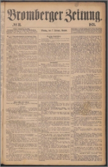 Bromberger Zeitung, 1876, nr 31